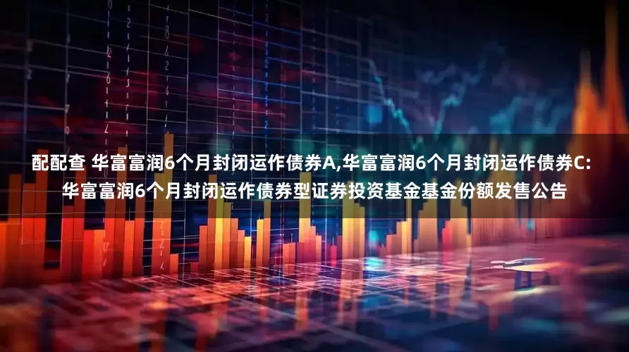 配配查 华富富润6个月封闭运作债券A,华富富润6个月封闭运作债券C: 华富富润6个月封闭运作债券型证券投资基金基金份额发售公告