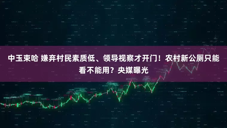 中玉束哈 嫌弃村民素质低、领导视察才开门！农村新公厕只能看不能用？央媒曝光