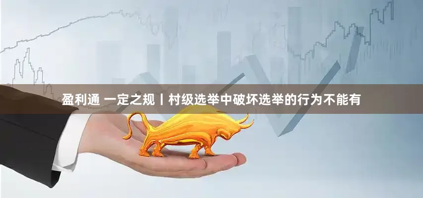 盈利通 一定之规丨村级选举中破坏选举的行为不能有