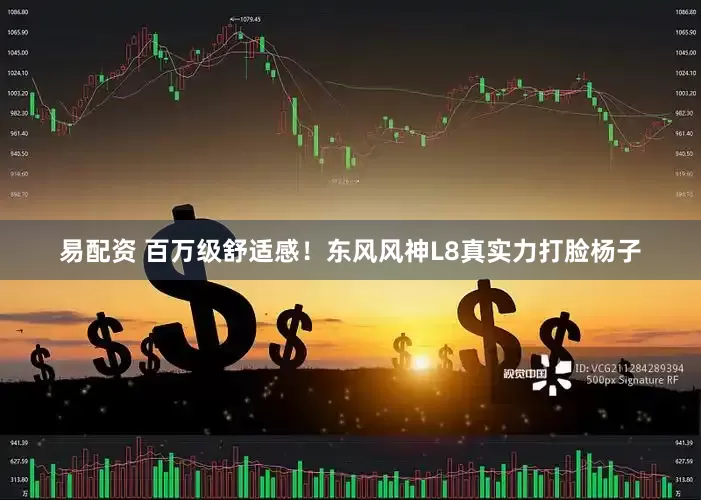 易配资 百万级舒适感！东风风神L8真实力打脸杨子
