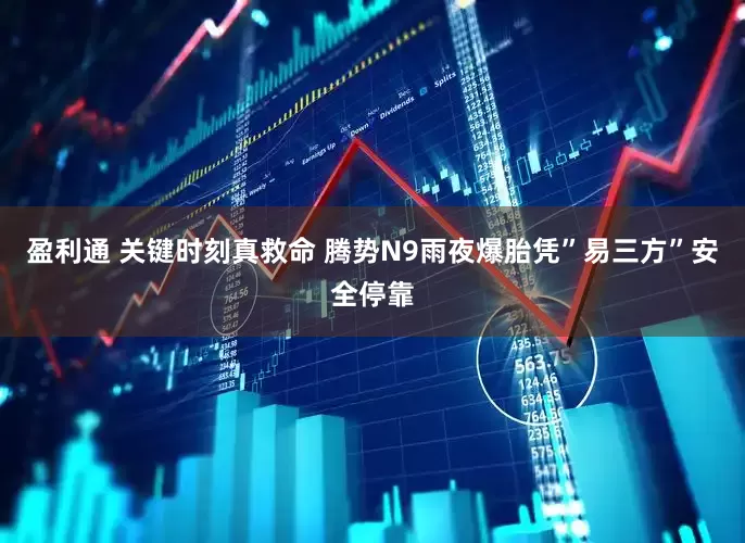 盈利通 关键时刻真救命 腾势N9雨夜爆胎凭”易三方”安全停靠