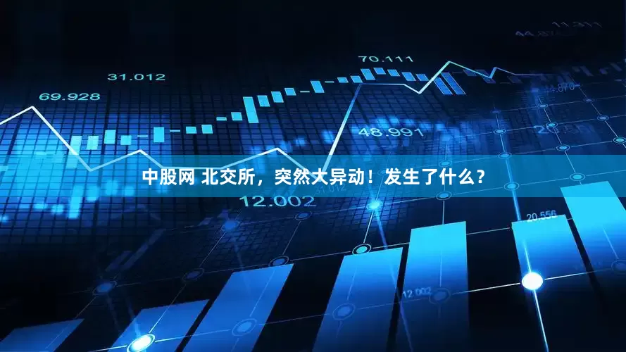 中股网 北交所，突然大异动！发生了什么？