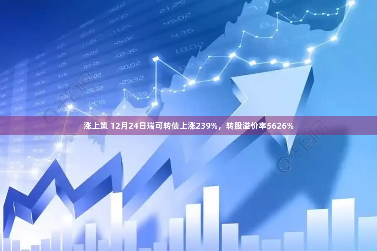 涨上策 12月24日瑞可转债上涨239%，转股溢价率5626%