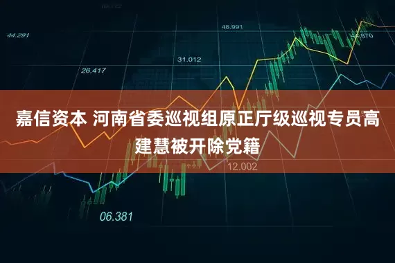 嘉信资本 河南省委巡视组原正厅级巡视专员高建慧被开除党籍